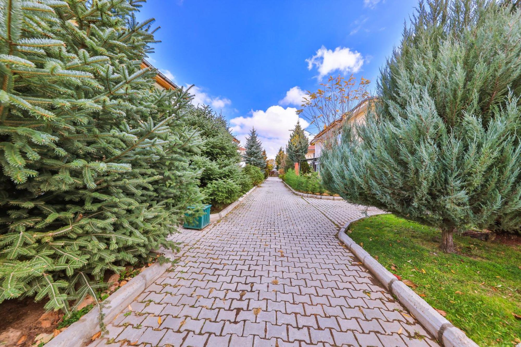 Afyon Dundar Thermal Villa Afyonkarahisar Buitenkant foto